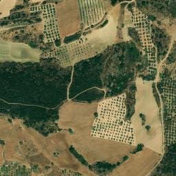 Satellite imagery of survey_point, DZ