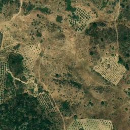 Satellite imagery of survey_point, DZ