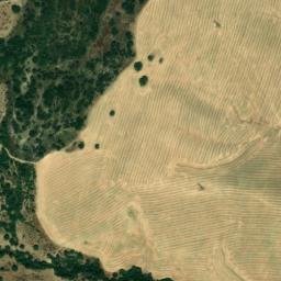 Satellite imagery of survey_point, DZ