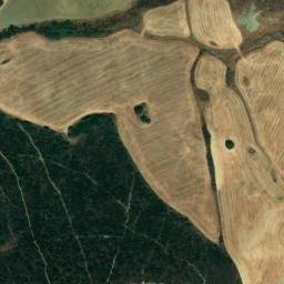 Satellite imagery of survey_point, DZ