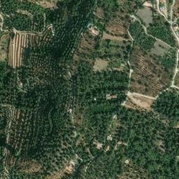 Satellite imagery of survey_point, DZ