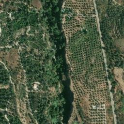 Satellite imagery of survey_point, DZ
