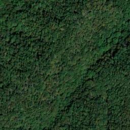 Satellite imagery of Chestnut Flat Ridge, US