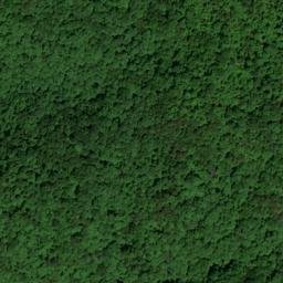 Satellite imagery of Grapevine Ridge, US