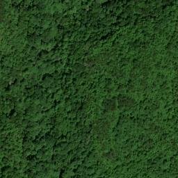 Satellite imagery of Rock Ridge, US