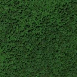 Satellite imagery of Rock Ridge, US