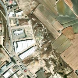 Satellite imagery of survey_point, DZ