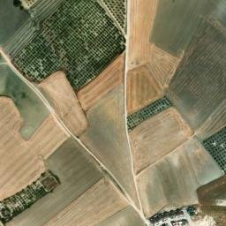Satellite imagery of survey_point, DZ