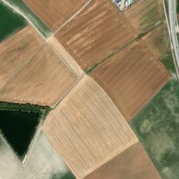 Satellite imagery of survey_point, DZ