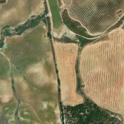 Satellite imagery of survey_point, DZ