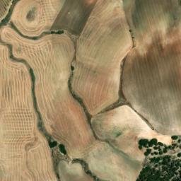 Satellite imagery of survey_point, DZ
