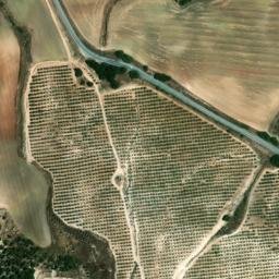 Satellite imagery of survey_point, DZ