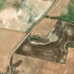 Satellite imagery of survey_point, DZ