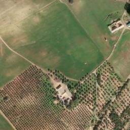 Satellite imagery of survey_point, DZ