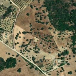 Satellite imagery of survey_point, DZ