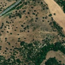Satellite imagery of survey_point, DZ