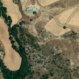 Satellite imagery of survey_point, DZ