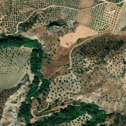 Satellite imagery of survey_point, DZ