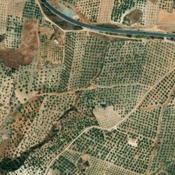 Satellite imagery of survey_point, DZ