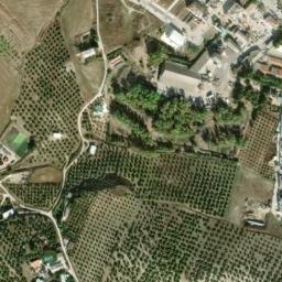 Satellite imagery of survey_point, DZ