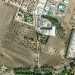 Satellite imagery of survey_point, DZ