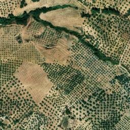 Satellite imagery of survey_point, DZ