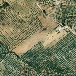 Satellite imagery of survey_point, DZ