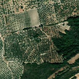 Satellite imagery of survey_point, DZ