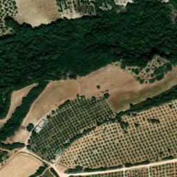 Satellite imagery of survey_point, DZ