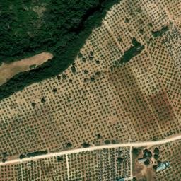 Satellite imagery of survey_point, DZ