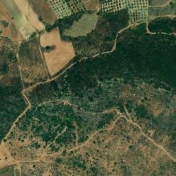 Satellite imagery of survey_point, DZ