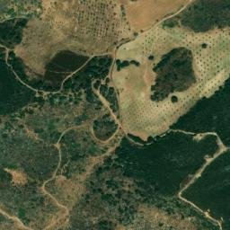 Satellite imagery of survey_point, DZ