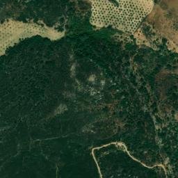 Satellite imagery of survey_point, DZ