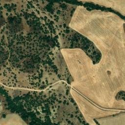 Satellite imagery of survey_point, DZ