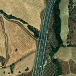 Satellite imagery of survey_point, DZ