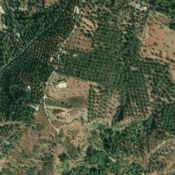 Satellite imagery of survey_point, DZ