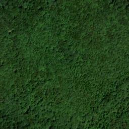 Satellite imagery of Curt Pond Ridge, US