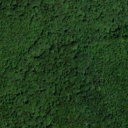 Satellite imagery of Curt Pond Ridge, US