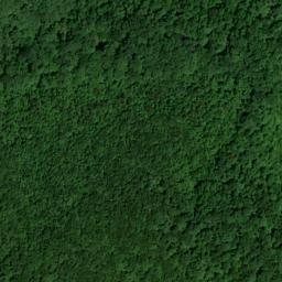 Satellite imagery of Curt Pond Ridge, US