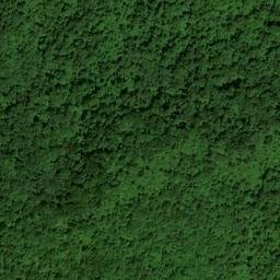 Satellite imagery of Rock Ridge, US