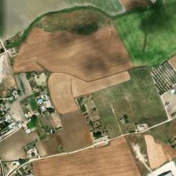 Satellite imagery of survey_point, DZ