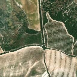 Satellite imagery of survey_point, DZ