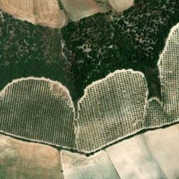 Satellite imagery of survey_point, DZ