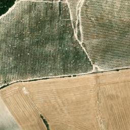 Satellite imagery of survey_point, DZ