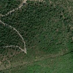 Satellite imagery of survey_point, DZ