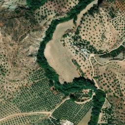 Satellite imagery of survey_point, DZ