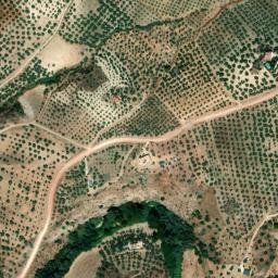 Satellite imagery of survey_point, DZ
