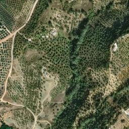 Satellite imagery of survey_point, DZ