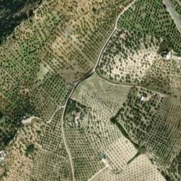 Satellite imagery of survey_point, DZ
