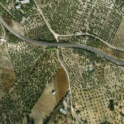 Satellite imagery of survey_point, DZ